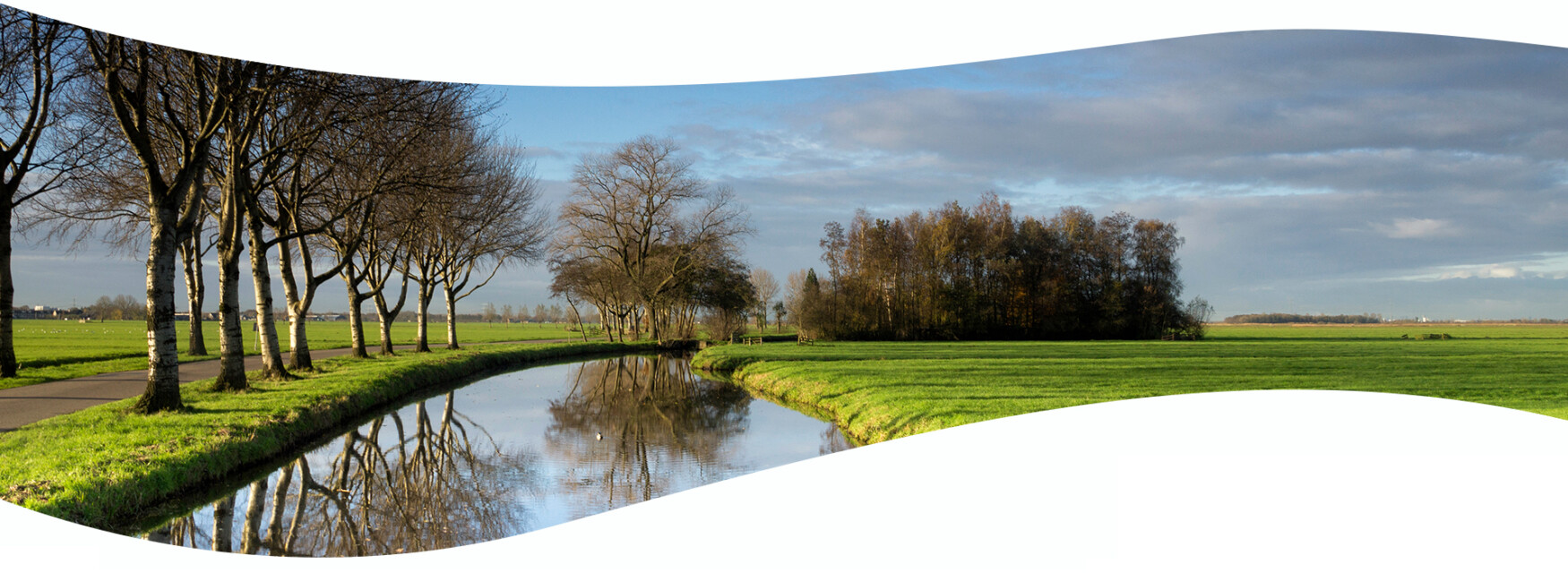 Energie Cooperatie